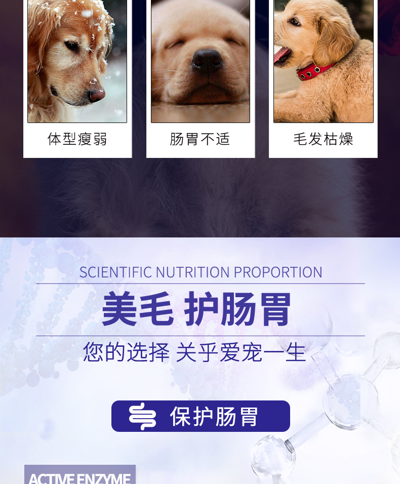 Thức ăn cho chó của Isa Ou Jia 10kg thức ăn cho chó trưởng thành tự nhiên Chó chăn cừu hơn gấu Dubin Jin Mao loại chung 20 kg - Chó Staples smartheart puppy