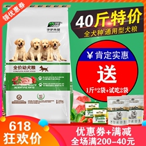 Isis dog food products puppies 20kg teddy VIP guests Norwegian Nader Shepherd puppies Durbin universal 40 catty