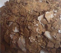 Rapeseed Cake Farmhouse Fresh Vegetable Cake Fishing Bait Special Sesame Oil Cake Fats Fattening Flowers Fertiliser