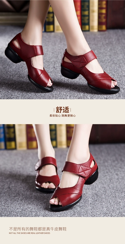 Giày khiêu vũ mùa hè Jiao Baihui 2019 nữ giày khiêu vũ xuân hè da giày đế vuông đế mềm, giày đế mềm mới nhảy - Khiêu vũ / Thể dục nhịp điệu / Thể dục dụng cụ