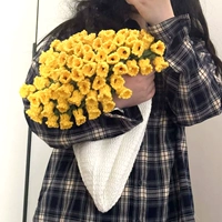 Кремовый, желтый, орхидея, 100см