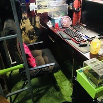 Dormitory Computer Chair Home Casual Chair Sloth College Student Dorm Room Sofa Chair Modern Brief Office Leaning Back Chair