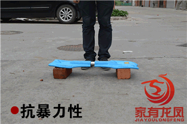 Skateboard pour homme femme enfant      - Ref 2593741 Image 18