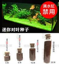 Aquatic grass seeds fish tanks aquatic plants prospects grass live aquatic landscaping