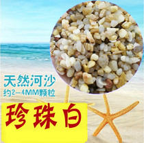 Natural river sand Pearl White Pearl sand sand grass sand grass bottom sand landscape turtle bottom sand