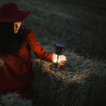 Photo studio photography props horse lamp retro hand-held led travel night scene vintage kerosene lamp beautiful couple photo photo