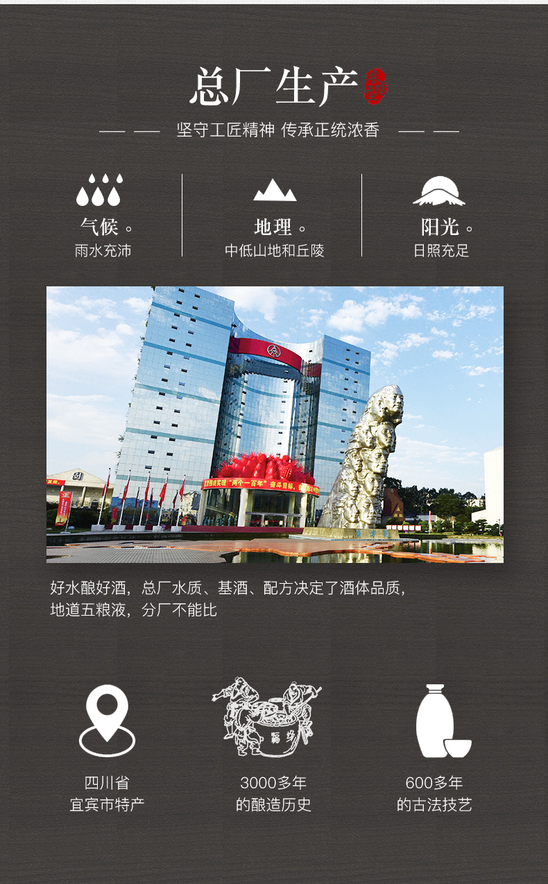 五粮液股份 百鸟朝凤醇品 52度浓香型白酒 500ml*6瓶 图3