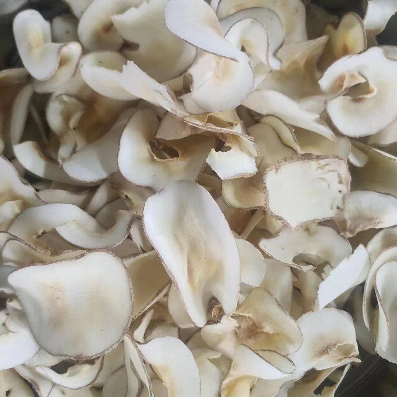 Seabed Coconut quality seafront coconut saucepan soup Guangdong stew soup stock food supplies 500g30 Yuan-Taobao