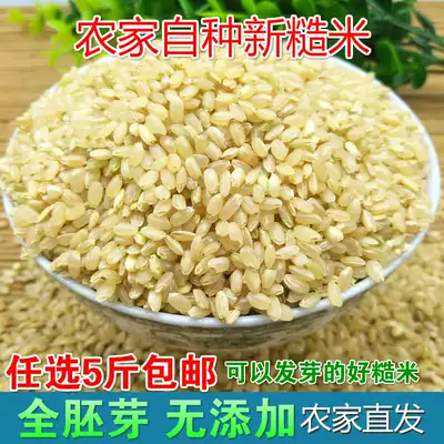 Brown rice farmhouse brown rice 500g new fresh rice live rice japonica rice Rice germinated brown rice grain germinated rice grain germ Rice