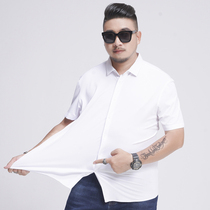 Summer men plus size short sleeve shirt loose mercerized cotton plus fat big fat big flower shirt fat man