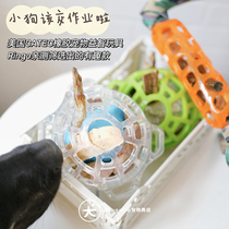 To the puppys homework RingoGo the United States CAITE leakage food filling pet educational toys into a variety