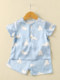 Boys' Silk Suit, Mulberry Silk Children's Short-Sleeved Top and Shorts, Stylish Summer Outfit, Baby Two-Piece Suit, Thin Style
