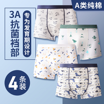 Boys  underwear brand medium and large childrens teenagers flat angle pure cotton boys 12 childrens underpants 14 four-sided shorts 15 years old