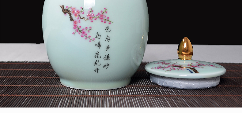 Back economic prosperous household ceramic tea pot seal storage jar beaming manual powder enamel paint originality