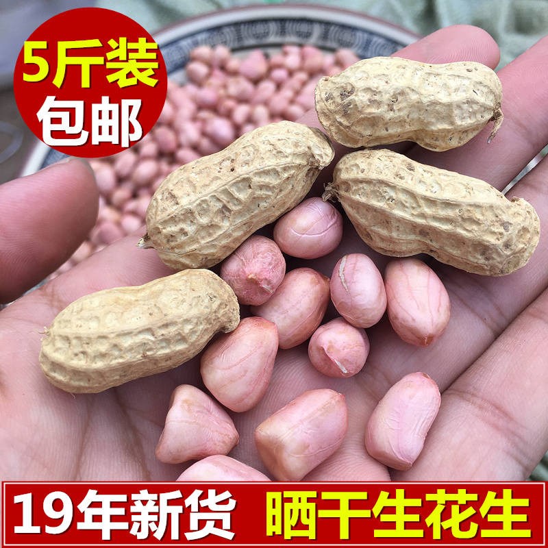 (Selected 5kg) 20 years of fresh shelled dried raw peanuts with shells, peanuts, farmers grow peanuts