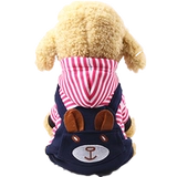 Собачья одежда Тедди весна и осенняя весна и осень четыре квадрата сгущают оба квадратных домашних животных домашних животных щенков щенка Осень и зима