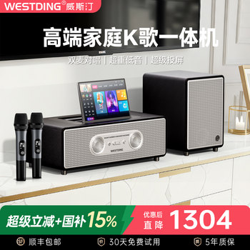 Westin P30 Home Karaoke Audio Set, Home Karaoke All-In-One Machine, Living Room Singing Equipment, New Model Karaoke Machine