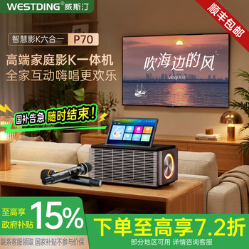 Westin P70 Home Karaoke Audio Set, Home Karaoke All-In-One Machine, 2025 New Model, Complete Set of Jukebox Equipment
