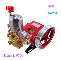 Agricultural three-cylinder plunger pump Agricultural spanter 21 26 40 60 motorized dispenser high-pressure drug pump
