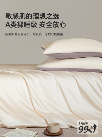 Class a Lenzing Tencel Four-Piece Bedding Set for Spring and Summer, Lyocell Cooling Ice Silk Duvet Cover, Bed Sheet, Summer Bedding Set 3
