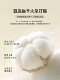 Pure Cotton Bed Four-Piece Set 100% Cotton 2026 New Style Very Beautiful High-End Bedding Spring and Summer Bed Sheet Duvet Cover Three-Four Pieces