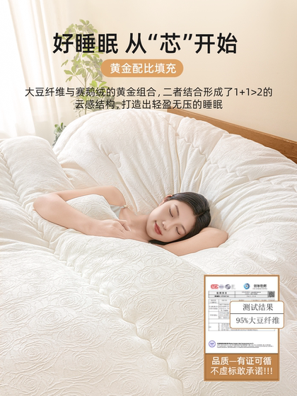 Cotton Soybean Fiber Quilt Core, Winter Quilt, Soybean Quilt, Spring and Autumn Quilt, Summer Cooling Quilt, Machine Washable, All-Season Air Conditioning Quilt