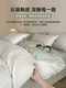 2026 New Model Four-Piece Bedding Set, Pure Cotton, 100% Cotton Bed Sheet and Duvet Cover, Light Luxury High-End Feel, Master Bedroom Bedding, Class a