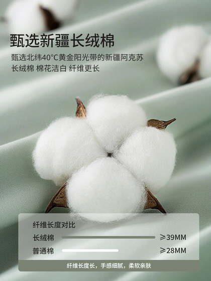 100-Count Long-Staple Cotton Anti-Mite Four-Piece Set, Pure Cotton Bed Sheet and Duvet Cover, Autumn and Winter Bedding, 2024 New Model, Three a