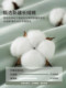 100-Count Long-Staple Cotton Anti-Mite Four-Piece Set, Pure Cotton Bed Sheet and Duvet Cover, Autumn and Winter Bedding, 2024 New Model, Three a