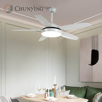 Fan lamp ceiling fan lamp Nordic modern simple dining room living room bedroom home frequency conversion large wind electric fan chandelier