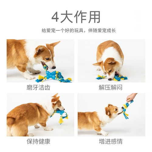 Yitte Dog Toy Toy Ballestaint Toys Toys Toys Home unclean artifact Pet Dog Toy дразнить артефакт собаки