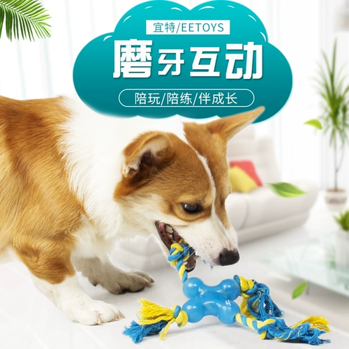Yitte Dog Toy Toy Ballestaint Toys Toys Toys Home unclean artifact Pet Dog Toy дразнить артефакт собаки