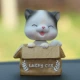 Trang trí ô tô Mô phỏng Lắc đầu Meow Xiaole Doll Sáng tạo Đàn ông và Phụ nữ Xe hơi dễ thương Búp bê hoạt hình Sản phẩm trang trí nội thất - Ô tô nội thất Accesseries