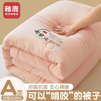 Yalu Soybean Fiber Quilt Winter Quilt Cotton Quilt Core Air Conditioning Quilt Student Dormitory Single Thin Spring and Autumn Quilt All-Season Use