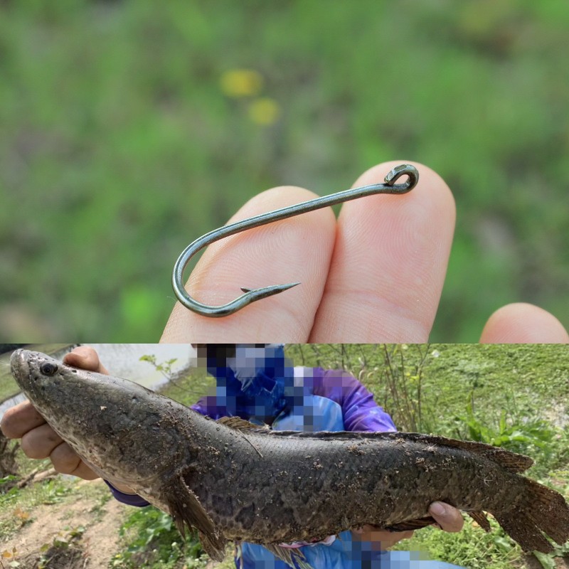 Black fishhook traditional fishing special mullet money fish catfish hanging live bait brown long handle with hole big hook to go fishing and tease fishing