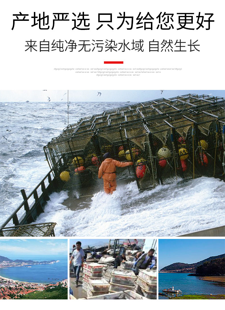 星农联合 黄金宴鲍 蒜蓉粉丝鲍鱼切片 300g*3件  6只/袋 图7