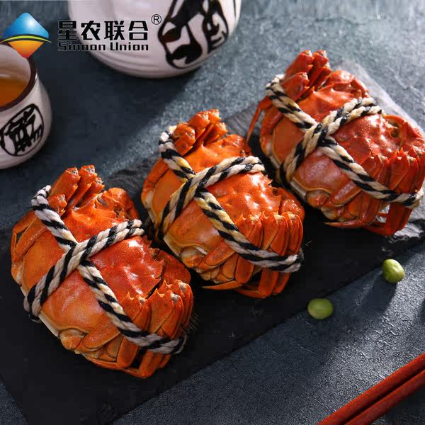 星农联合 六月黄大闸蟹 12只礼盒装 全母蟹2两 聚划算+优惠券折后￥88包邮（￥138-50）