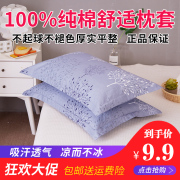 Ellen gối bông cặp bông gối lõi bao gồm gối đơn gối mùa hè áo gối 48 * 74cm