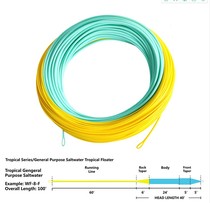 Fly fishing two-color Main line sea fishing line Saltwater WF floating water fishing line
