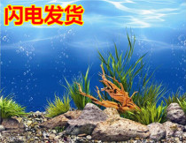 Fish tank background paper HD aquarium decorated background drawing background drawing wallpaper thickness wallpaper