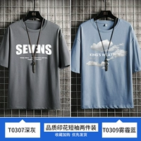 T0307 Deep Grey+T0309 Smog Blue