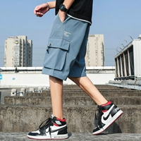 DK318 туман Blue