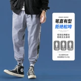 Мужские осенние демисезонные штаны, спортивные повседневные брюки, свободный прямой крой