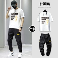 T0387 White + 832 Black