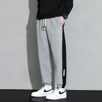 1263 Светлый серый