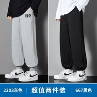 2203 серый +667 черный