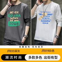 JT033 Deep Grey+JT019 белый