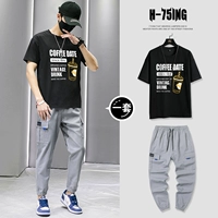 T0387 Black + 851 Grey