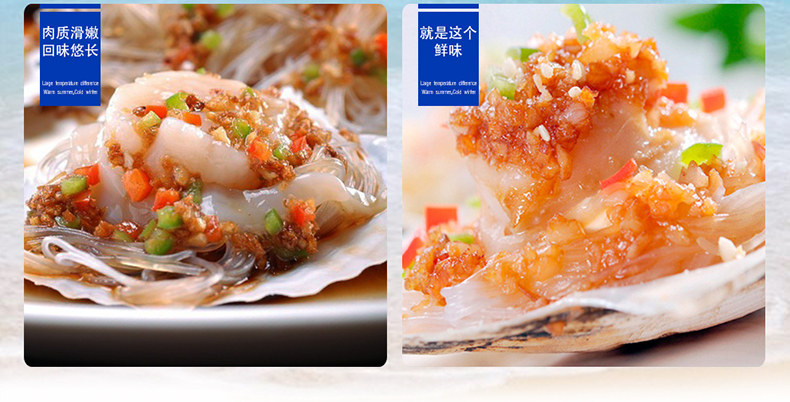 海洋世家 蒜蓉粉丝扇贝 280g*3袋 加热即食 图8