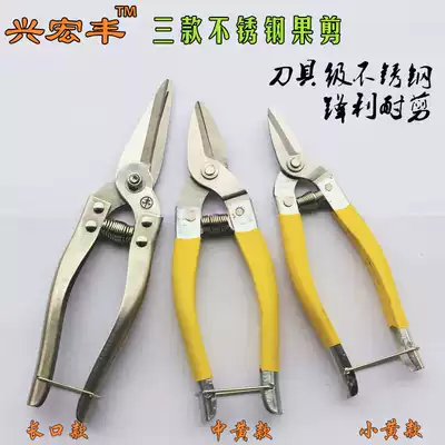 Fengdrill stainless steel fruit scissors new fruit picking citrus scissors fruit scissors round head fruit scissors